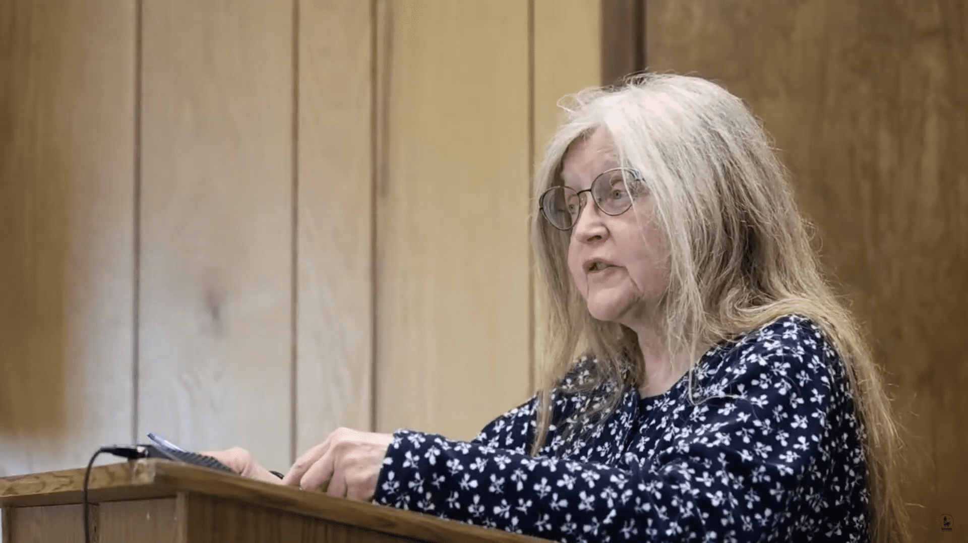 Museum Director, Cheryl Thompson, addresses the council. Ben Townsend photo.